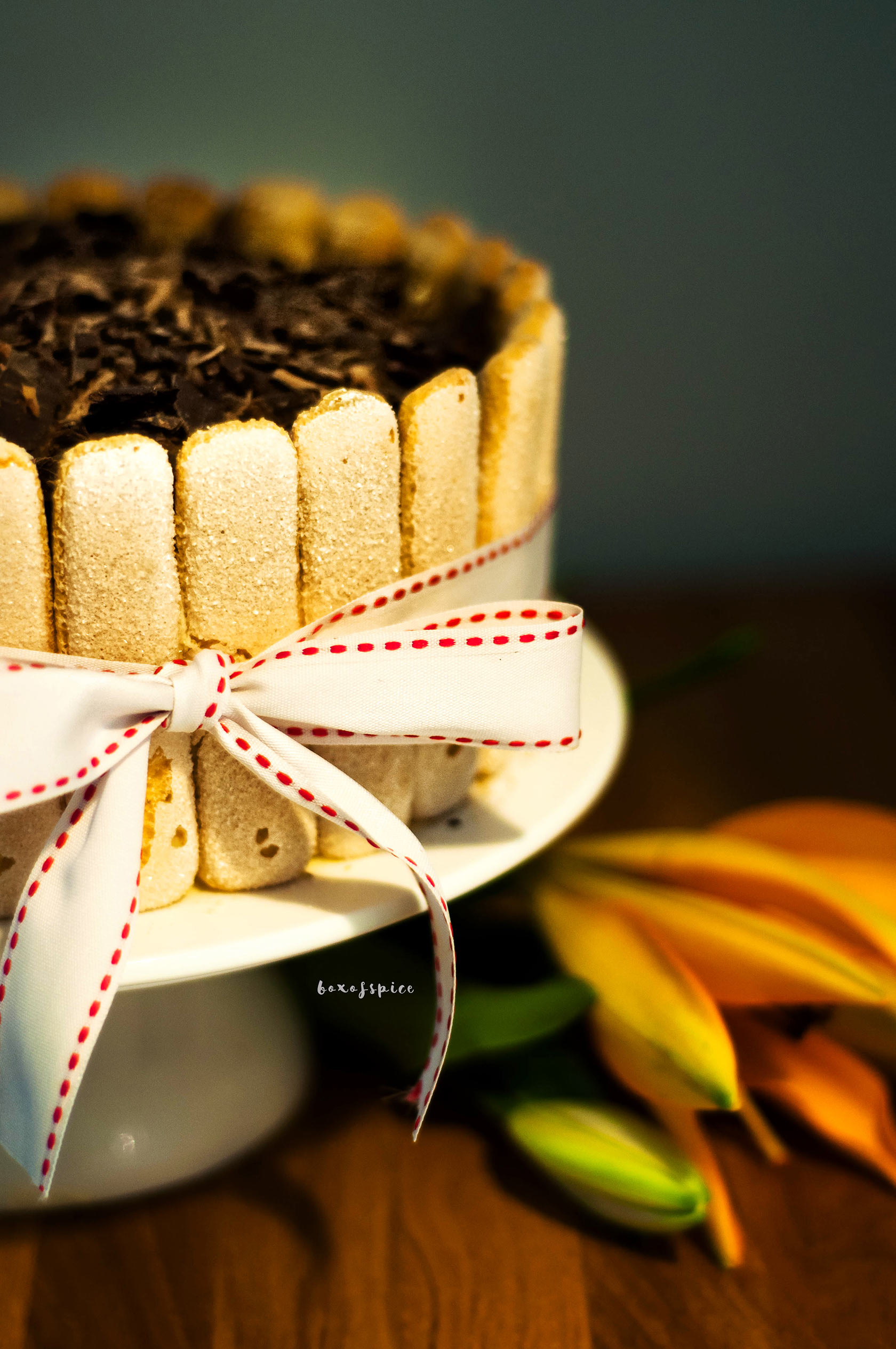 Tiramisu Cake I Boxofspice