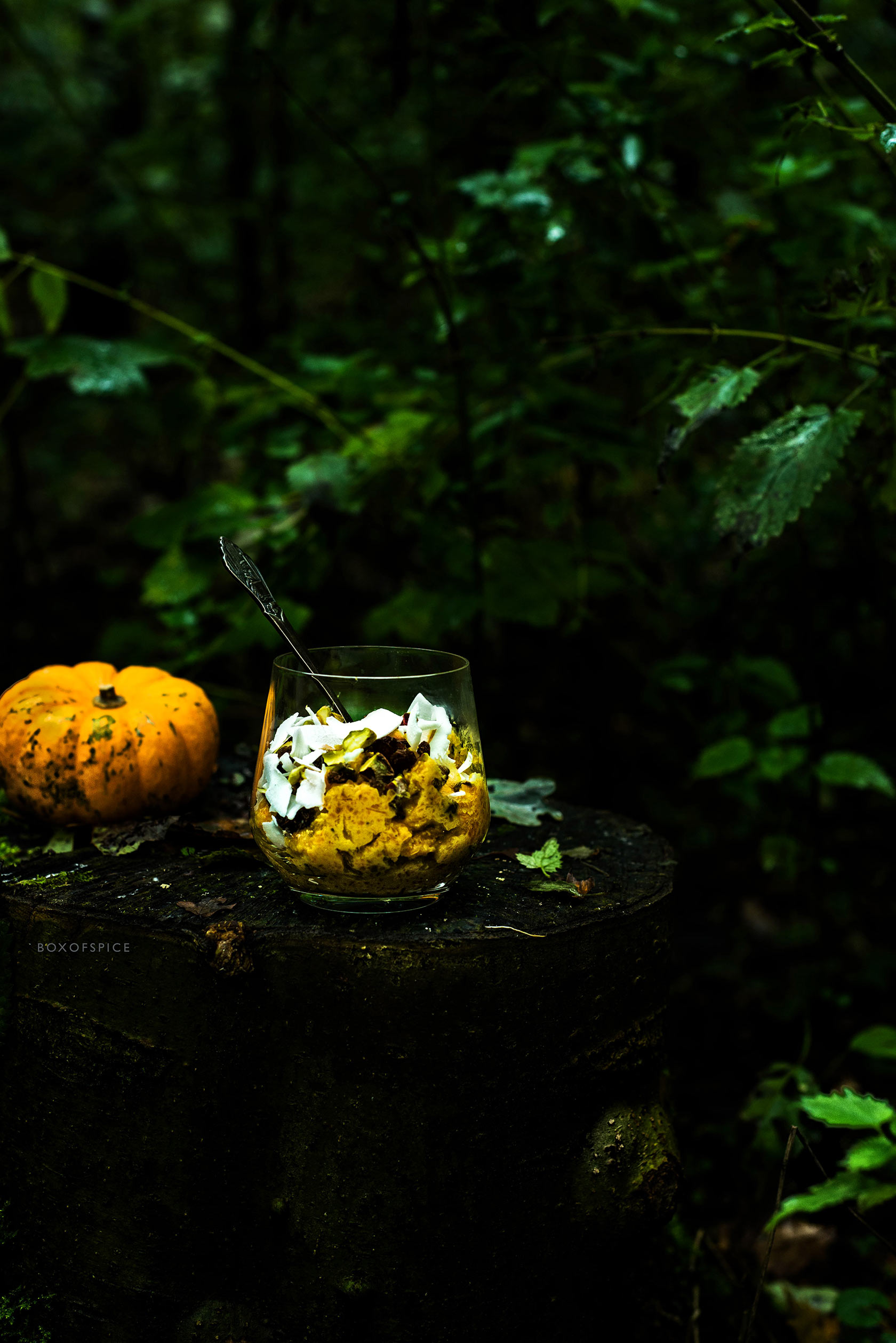 Pumpkin Halwa I Boxofspice