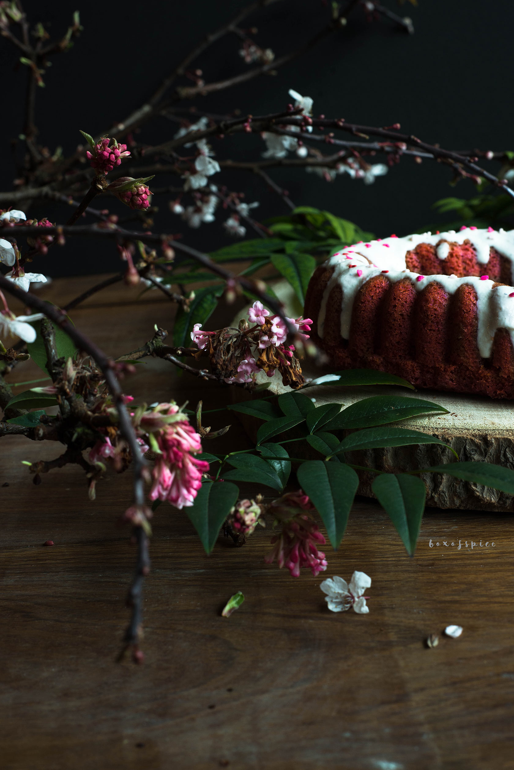 Red Velvet Valentine Beet Cake with A Goat Cheese Cardamom Glaze I Boxofspice
