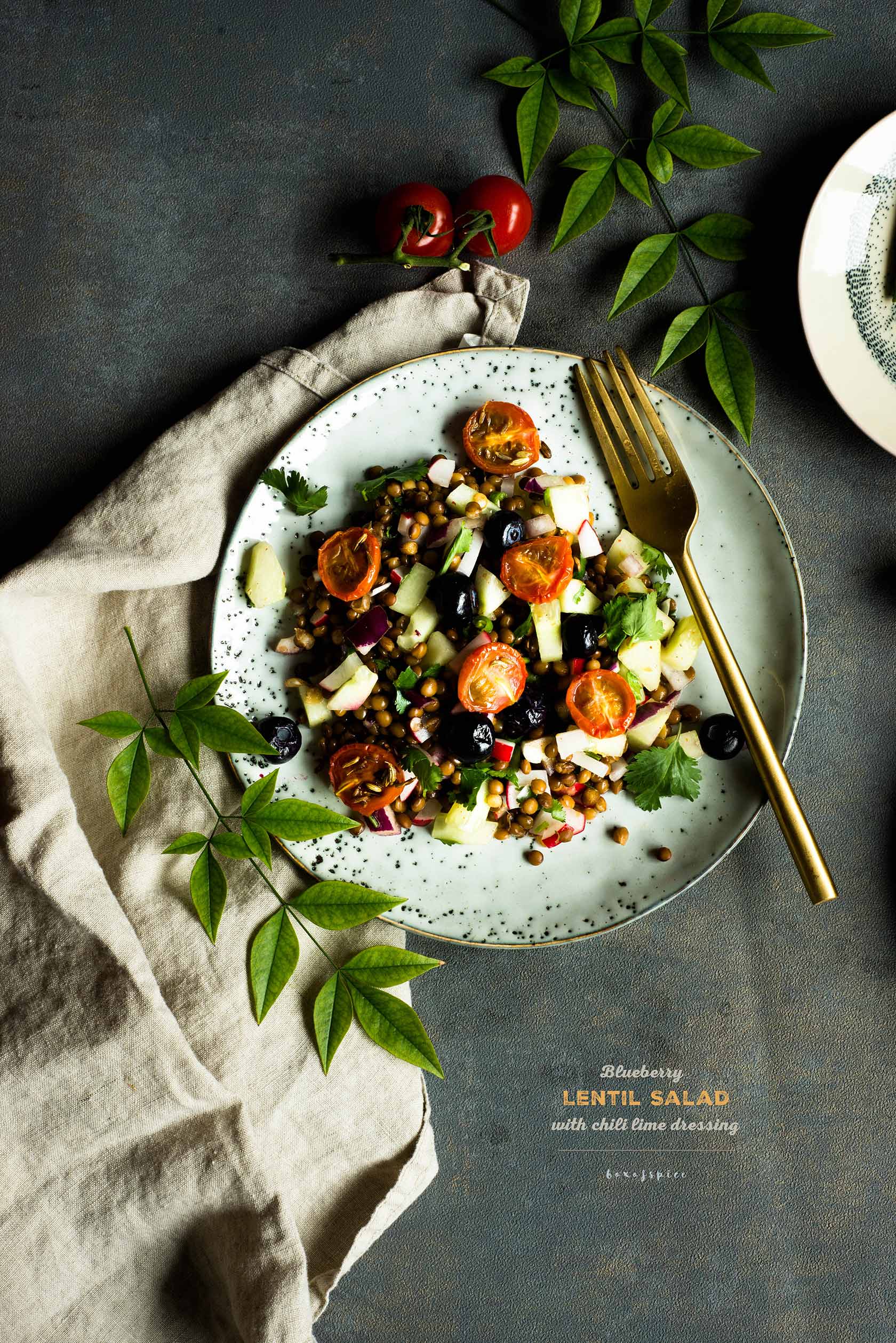 Blueberry Lentil Salad with Chili Lime Dressing I Boxofspice
