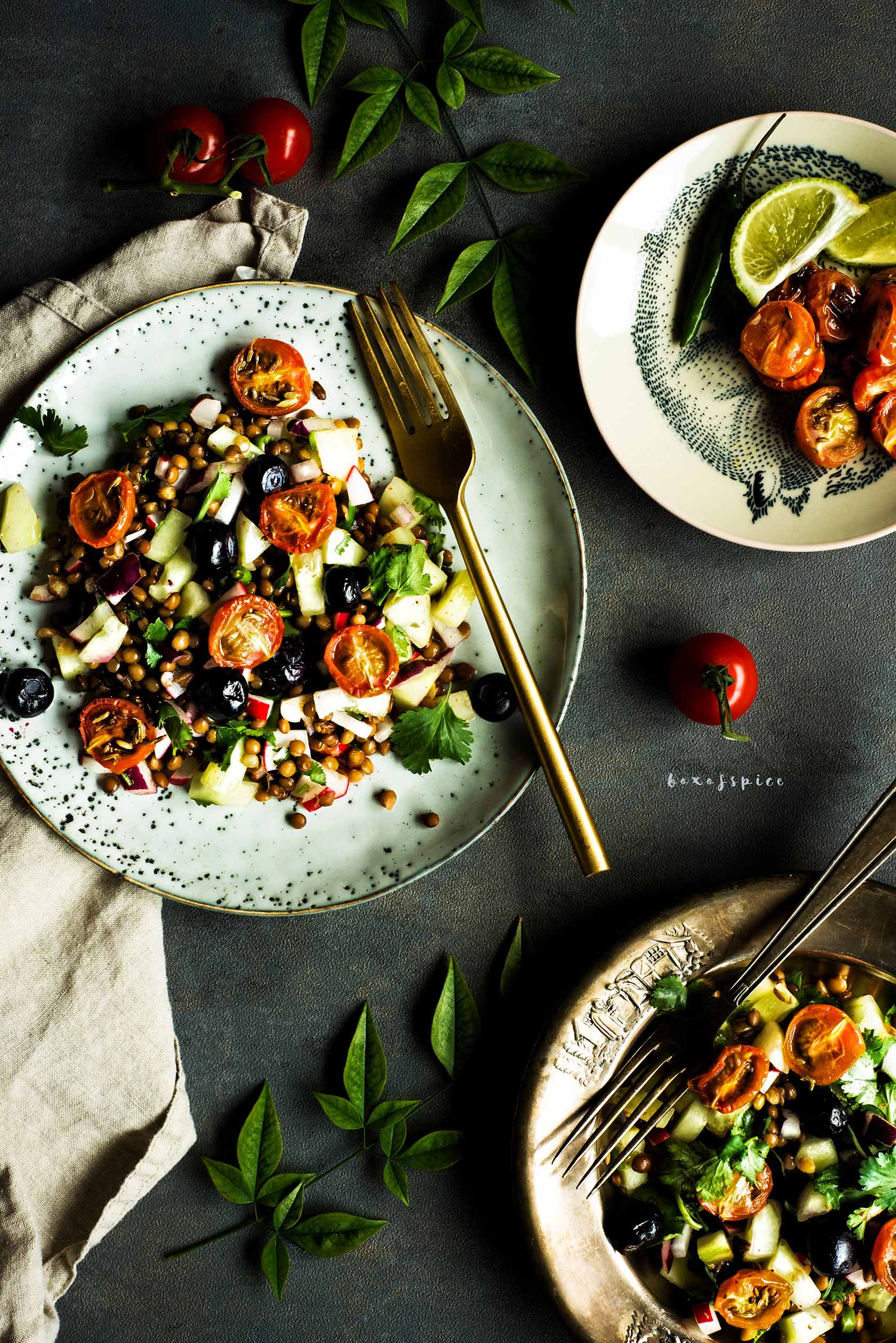 Blueberry Lentil Salad with Chili Lime Dressing I Boxofspice