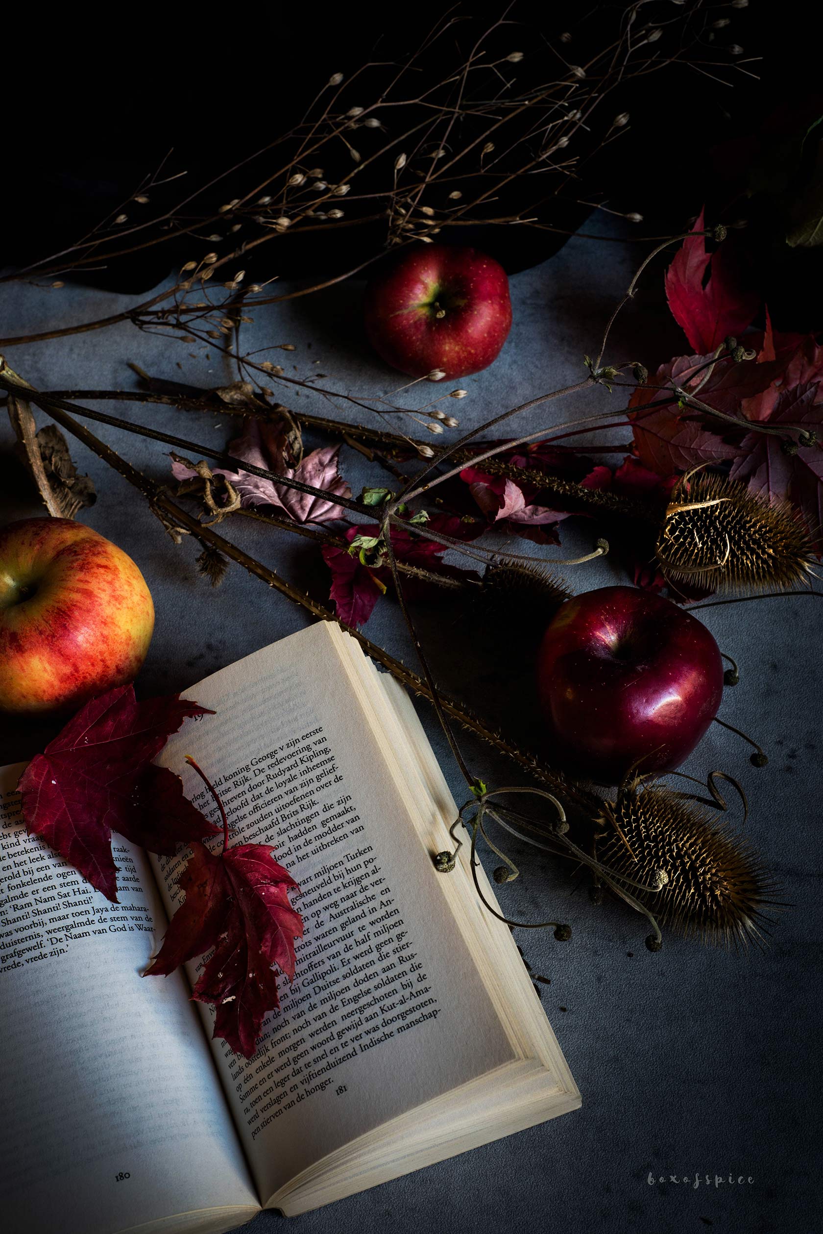 Dutch Apple Pie with Speculaas Spices I Boxofspice