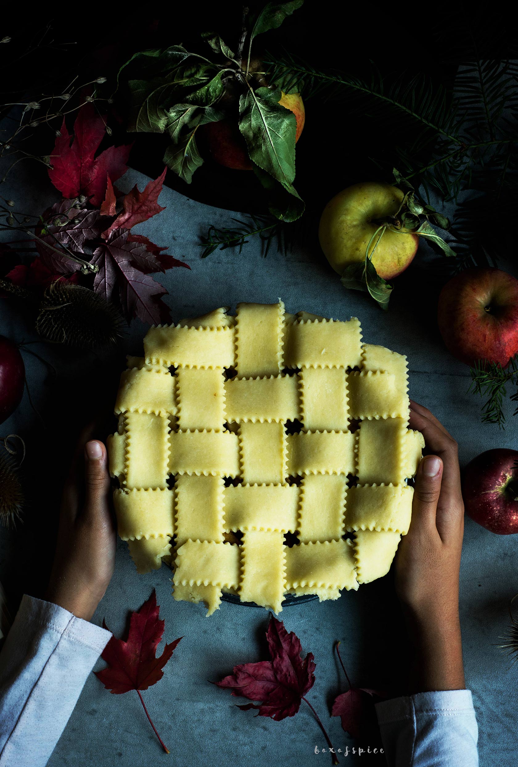 Dutch Apple Pie with Speculaas Spices I Boxofspice