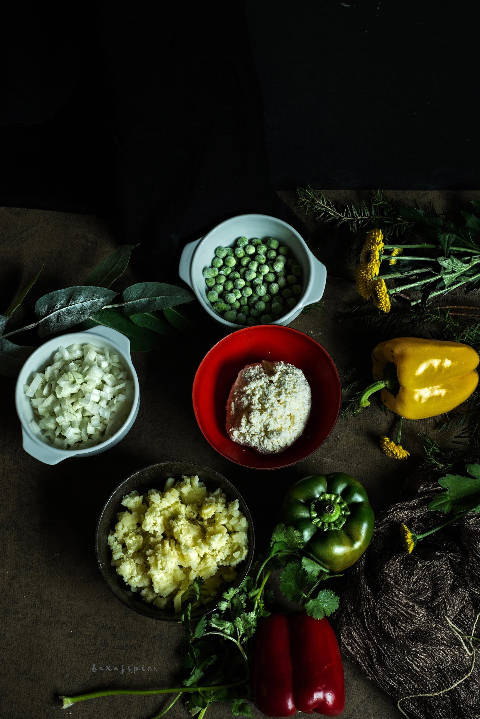 Spicy Stuffed Peppers with Paneer I Boxofspice
